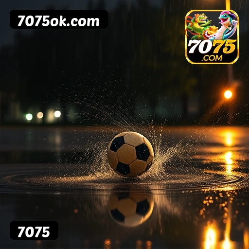 Recursos Exclusivos do App 7075 - Modo Offline, Login Biométrico